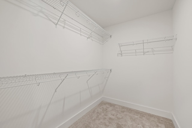 spacious closet with light colored carpet