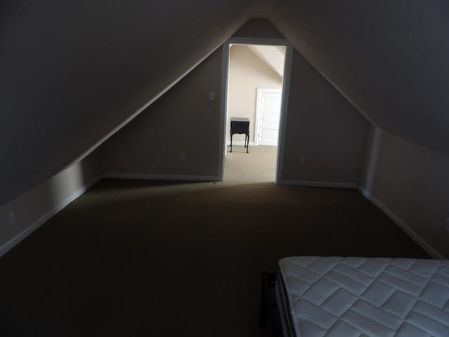 bonus room with carpet and lofted ceiling