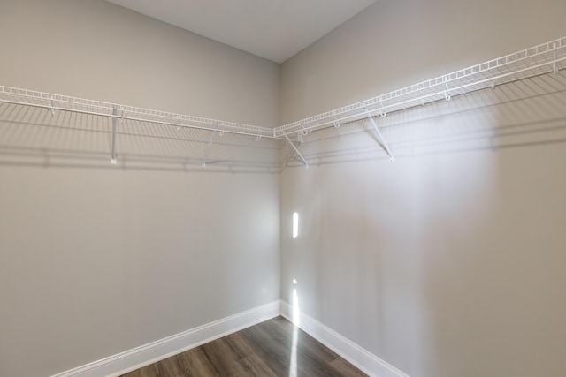 walk in closet featuring hardwood / wood-style flooring