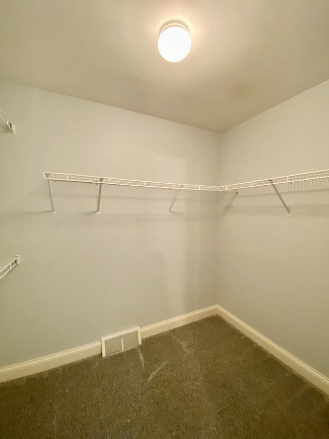 walk in closet featuring carpet flooring