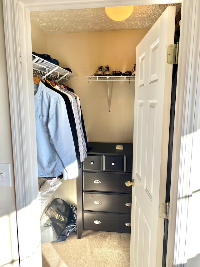 walk in closet featuring carpet floors