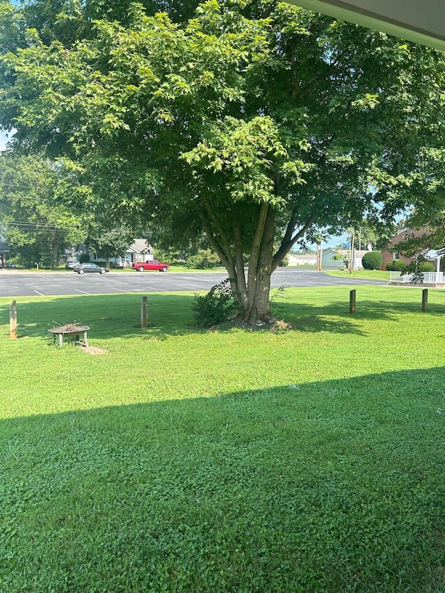 view of home's community featuring a yard