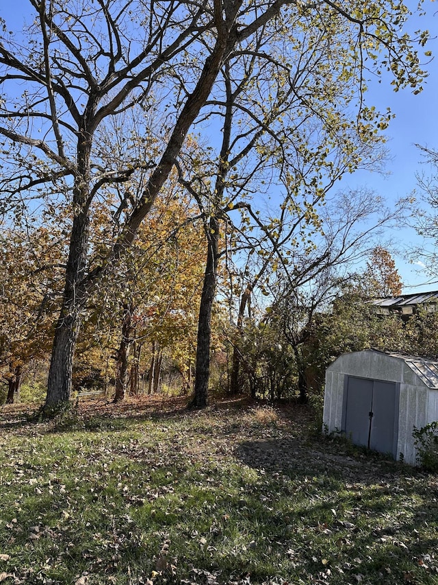 view of yard featuring a storage shed