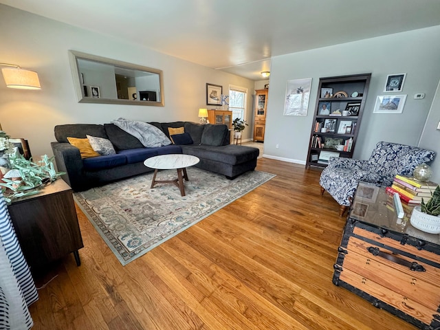 living room featuring hardwood / wood-style floors and built in features