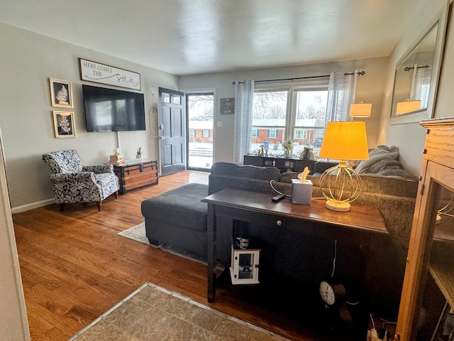 living room with hardwood / wood-style flooring