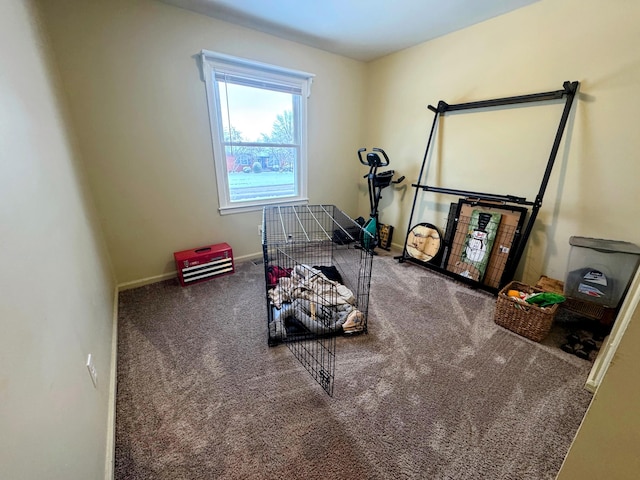 workout area featuring carpet floors