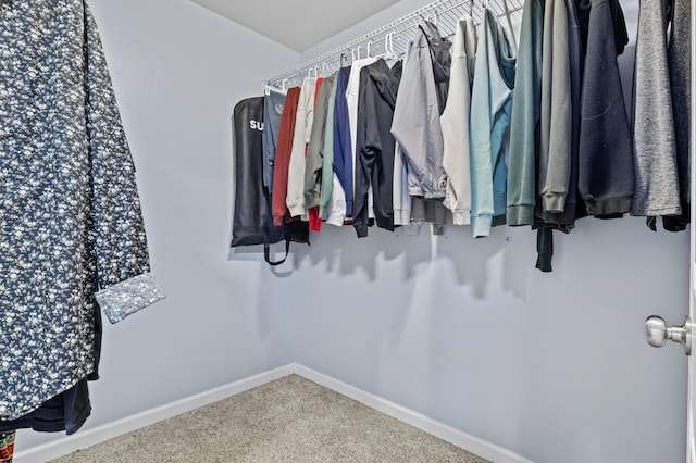 view of walk in closet