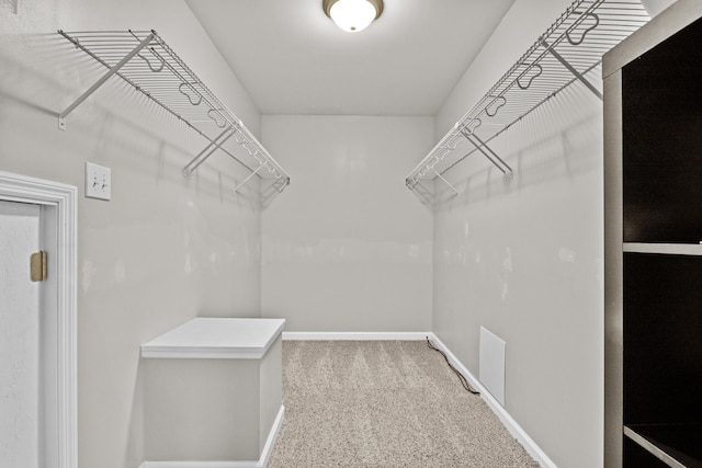 spacious closet with carpet