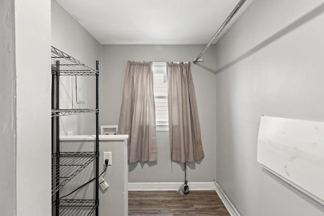 spacious closet featuring dark hardwood / wood-style floors