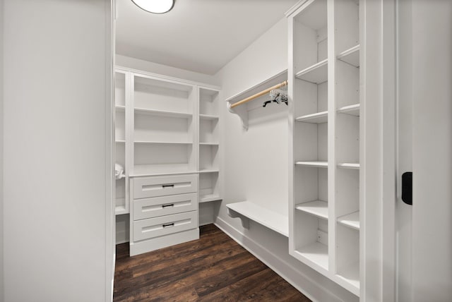 spacious closet featuring dark hardwood / wood-style flooring