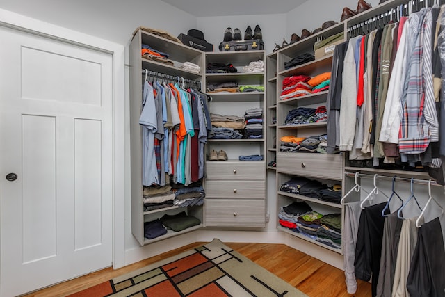 spacious closet with hardwood / wood-style flooring