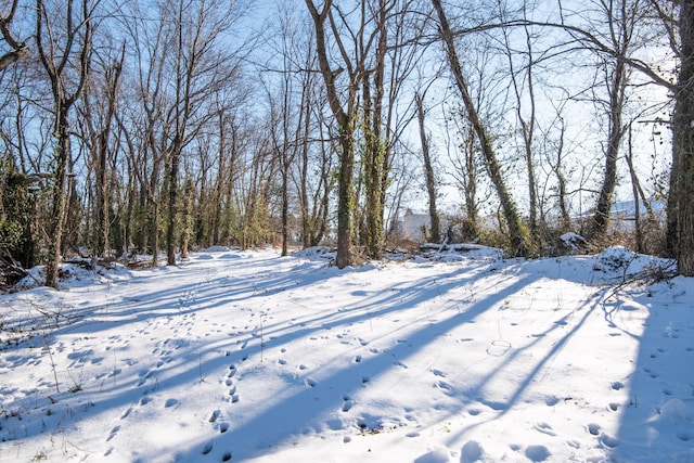 view of snowy yard