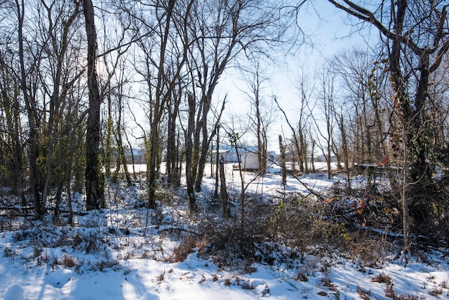 view of yard covered in snow