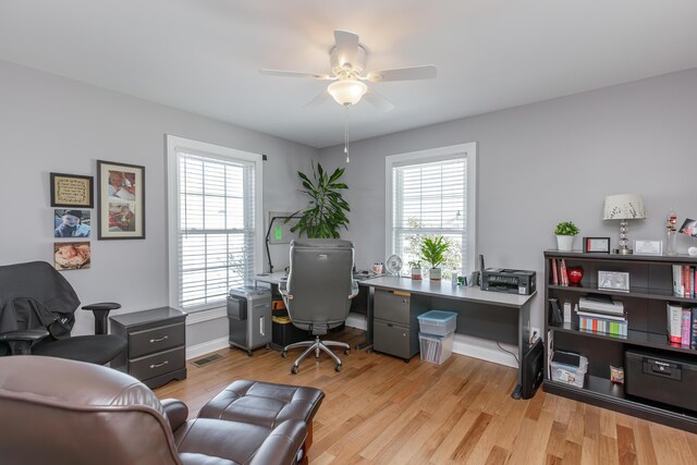 office with ceiling fan, a wealth of natural light, and light hardwood / wood-style flooring