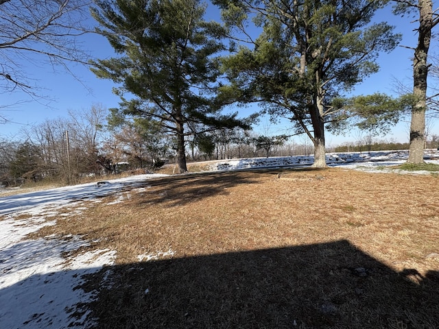 view of yard covered in snow