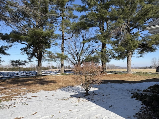 view of yard covered in snow