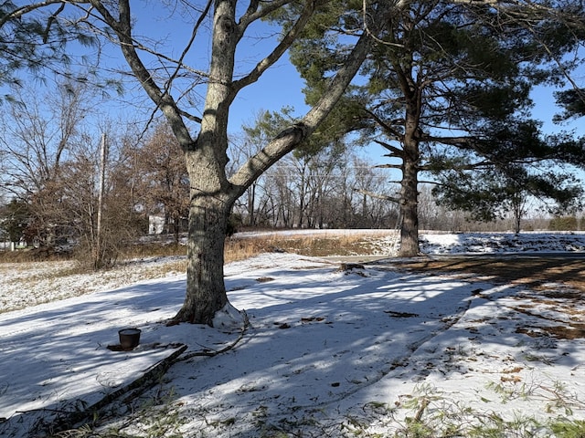 view of yard covered in snow