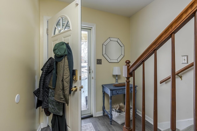 foyer entrance with dark hardwood / wood-style flooring