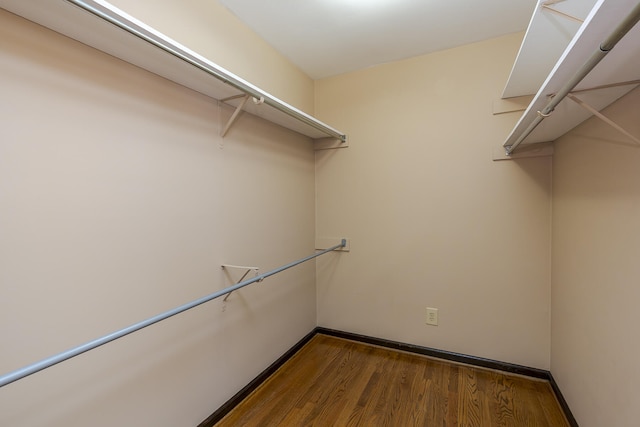 spacious closet with dark hardwood / wood-style floors