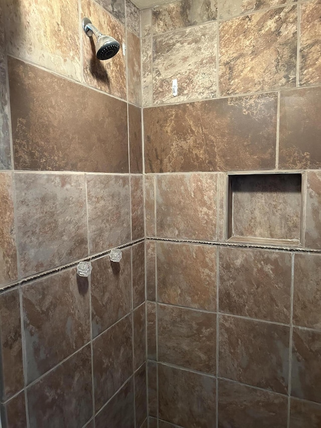 interior details featuring tiled shower