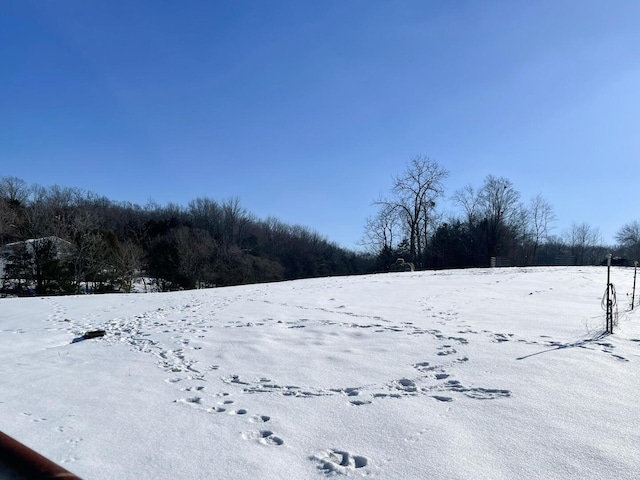 view of snowy yard