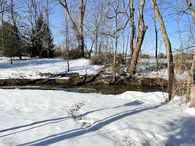 view of yard covered in snow