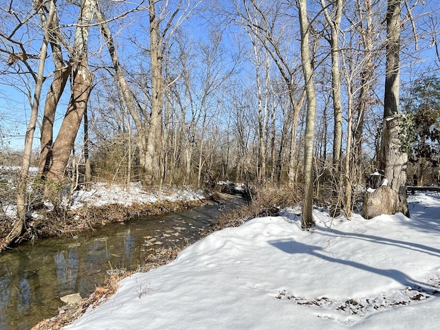 view of yard covered in snow