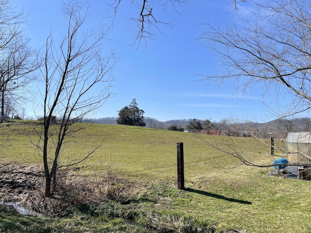 view of yard featuring a rural view