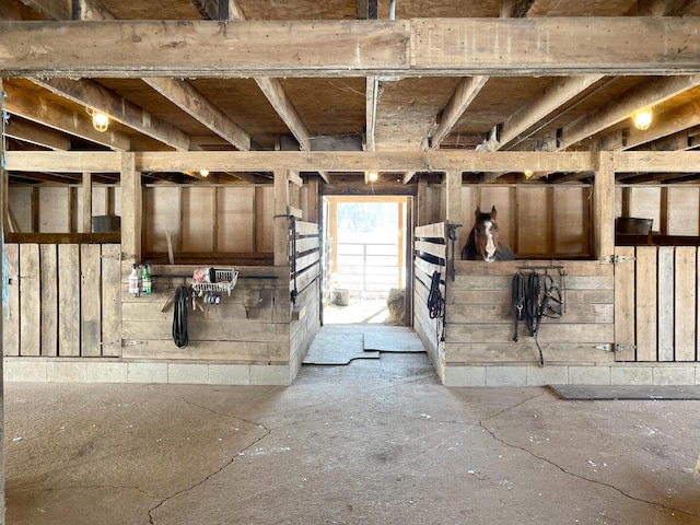 view of horse barn