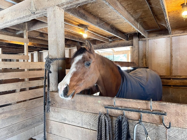 view of horse barn