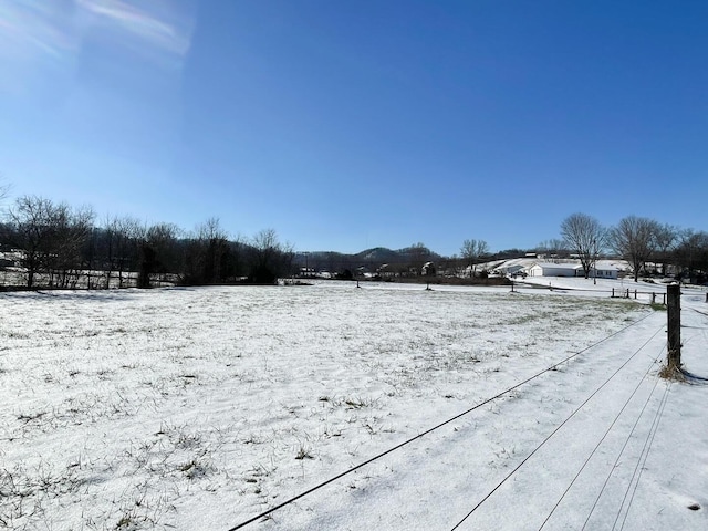 view of yard covered in snow