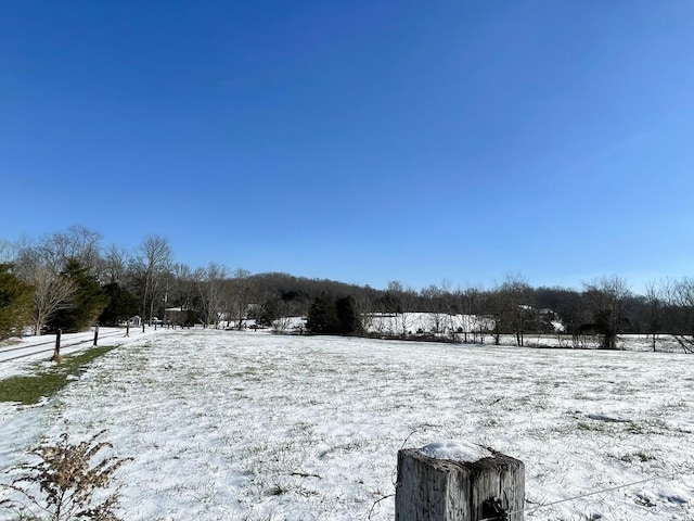 view of snowy yard