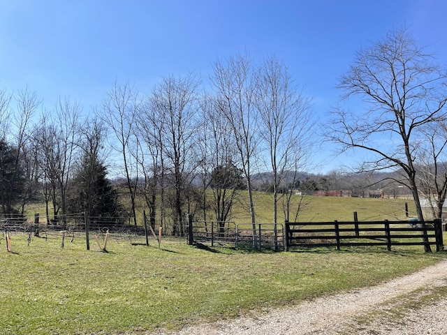 view of yard featuring a rural view