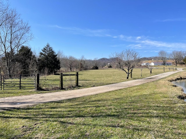 view of yard featuring a rural view