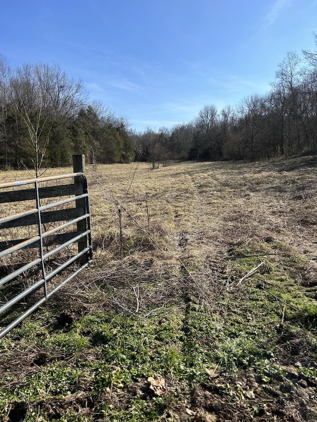 view of yard with a rural view