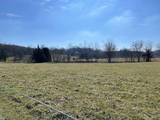 view of yard featuring a rural view