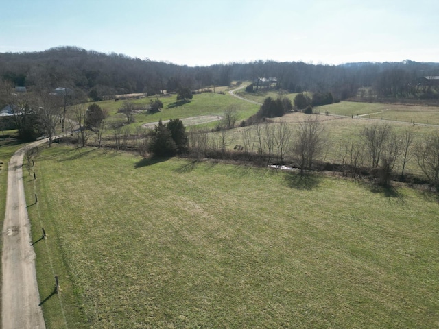 view of yard with a rural view