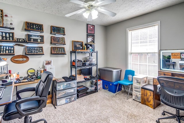 office with ceiling fan, carpet, and a textured ceiling