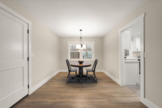 dining room featuring wood-type flooring