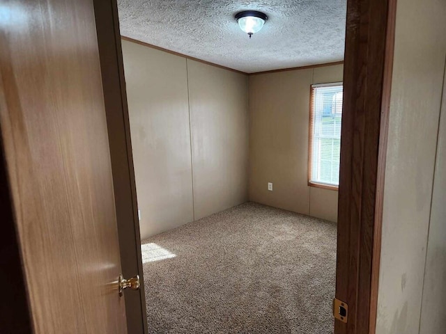 unfurnished room featuring carpet flooring and a textured ceiling