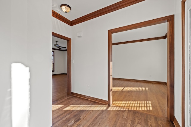 corridor with wood-type flooring and crown molding