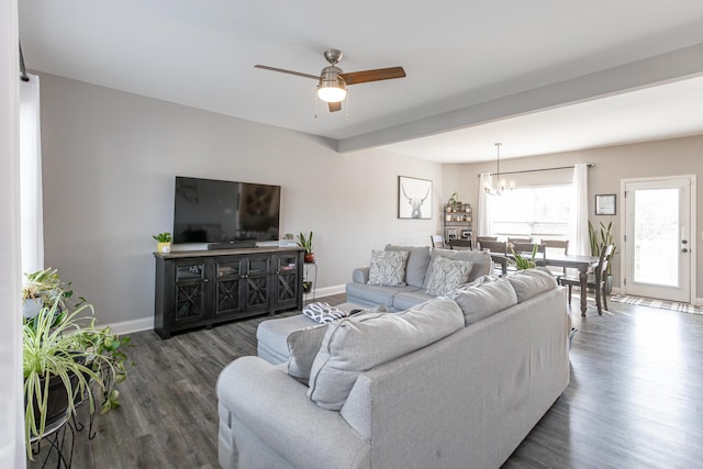 living room with dark hardwood / wood-style floors and ceiling fan with notable chandelier