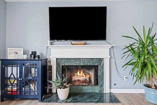 details featuring a premium fireplace and hardwood / wood-style floors