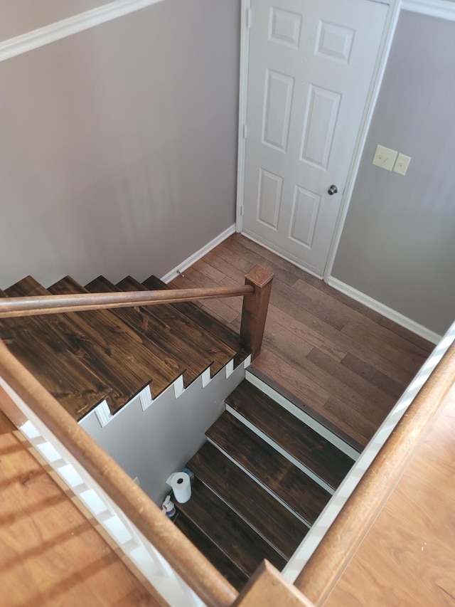 staircase with hardwood / wood-style flooring