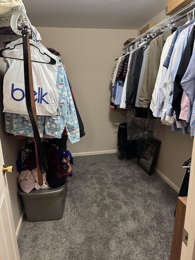 walk in closet with carpet floors