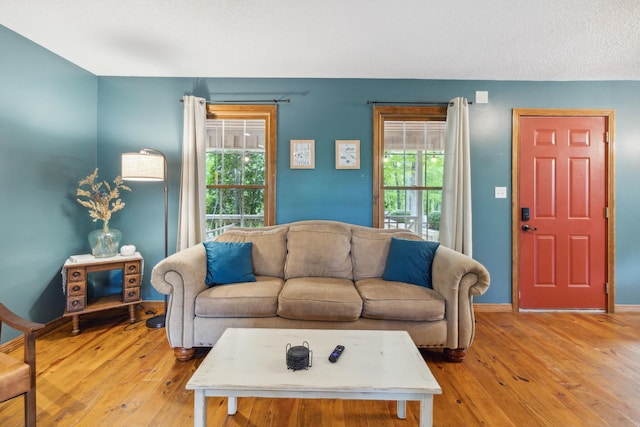 living room featuring light wood-type flooring