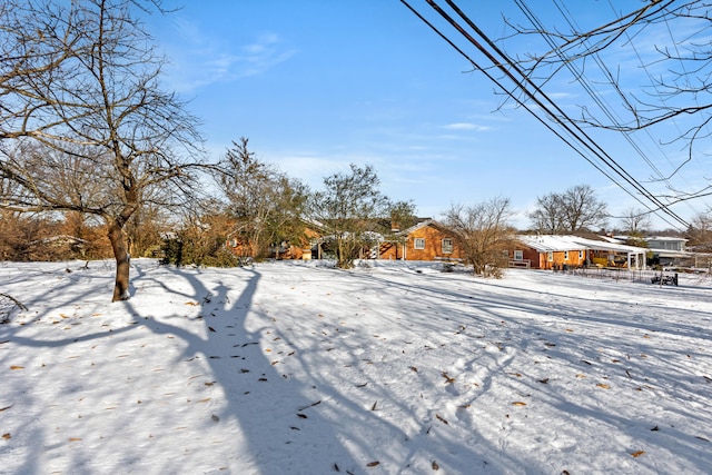 view of yard covered in snow