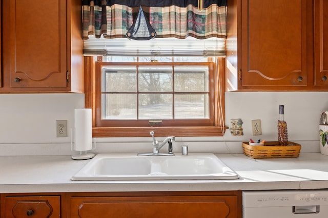 kitchen with dishwasher and sink