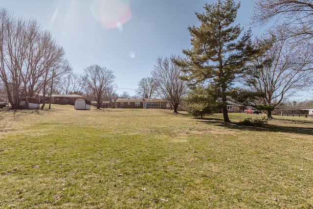 view of yard featuring an outdoor structure and a storage shed