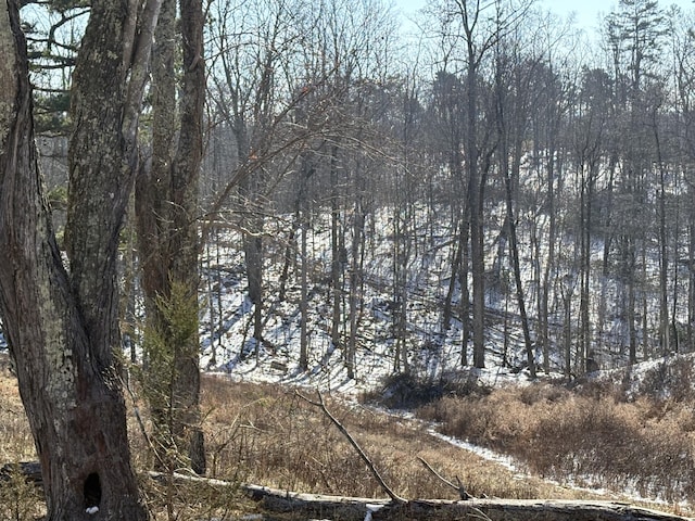 view of landscape